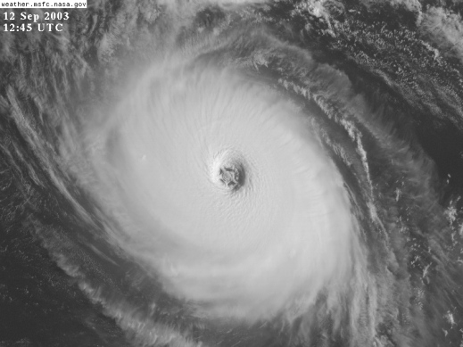 Hurricane Isabel Seestern